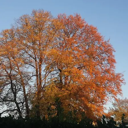דירה Klein Waldeck Velp (Gelderland)