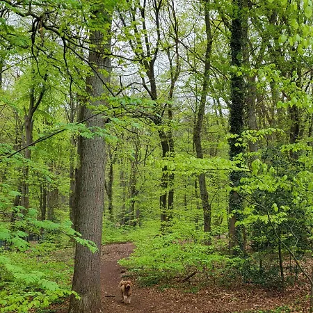 شقة Klein Waldeck Velp (Gelderland)