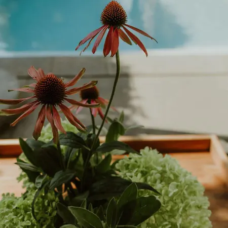 Klein Waldeck Velp (Gelderland)