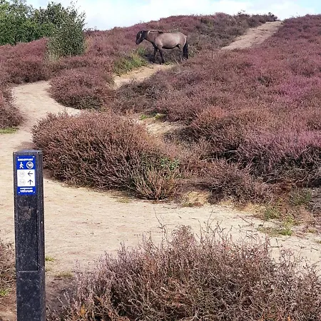 Apartman Klein Waldeck