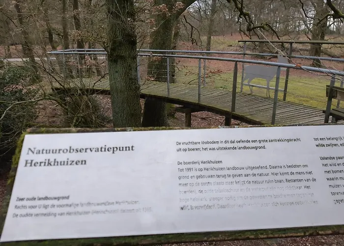 Klein Waldeck Apartment