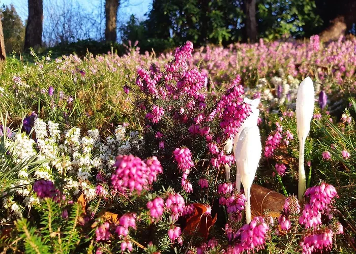 Klein Waldeck Apartment