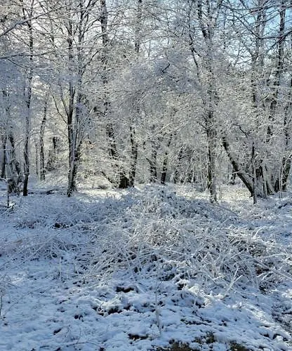 Klein Waldeck * Velp (Gelderland)