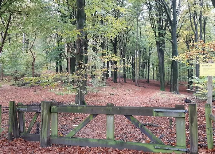 Apartment Klein Waldeck