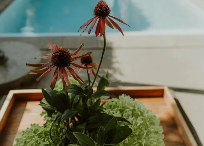 Klein Waldeck Velp (Gelderland)