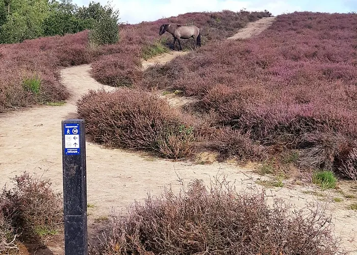 Apartment Klein Waldeck