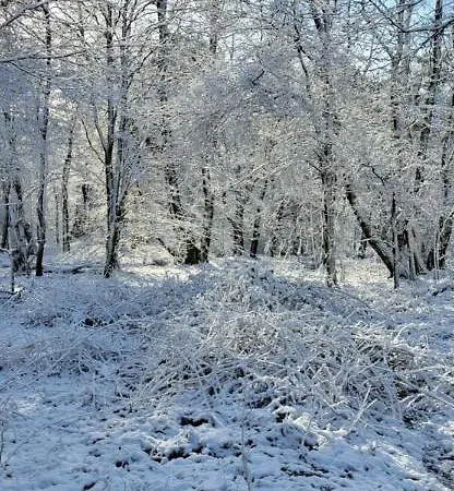 Klein Waldeck * Velp (Gelderland)