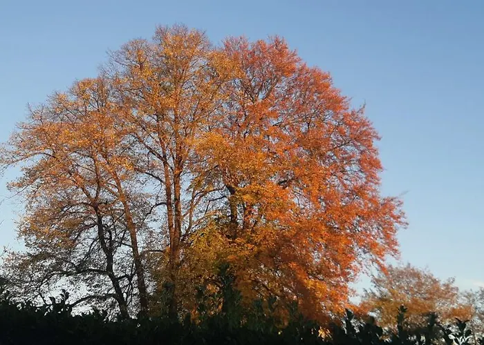 Lejlighed Klein Waldeck Velp (Gelderland)
