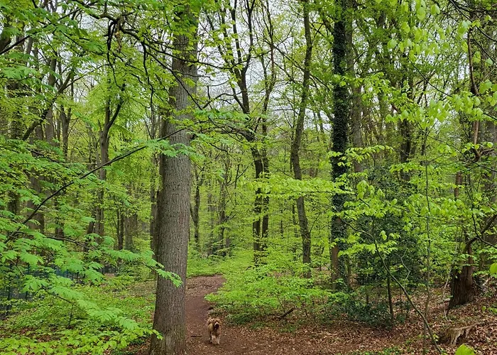Lejlighed Klein Waldeck Velp (Gelderland)